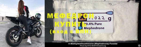 индика Козельск
