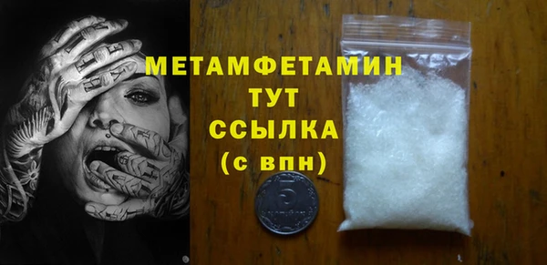 индика Козельск