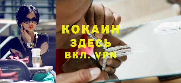 индика Козельск