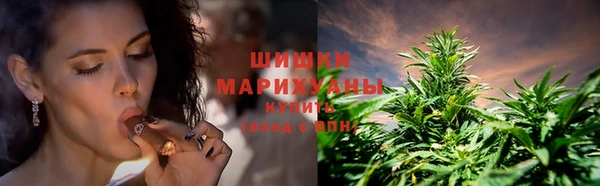 индика Козельск