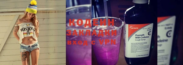 индика Козельск