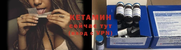 индика Козельск