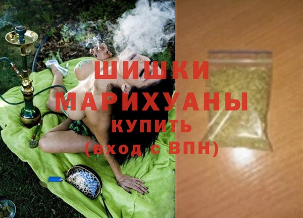 индика Козельск