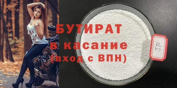 индика Козельск
