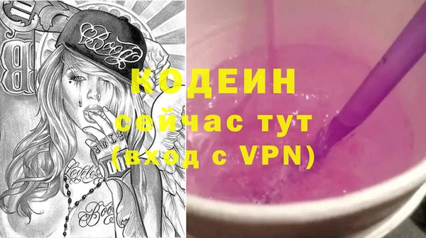 индика Козельск