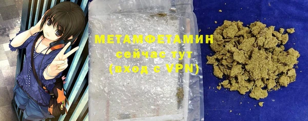 индика Козельск