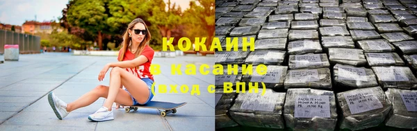 индика Козельск