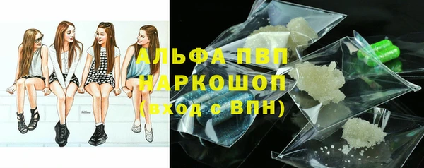 индика Козельск