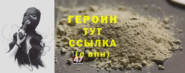 индика Козельск