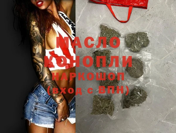 индика Козельск