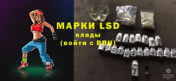 индика Козельск